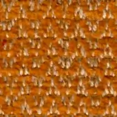 Woven fabric texture, warm orange and off-white, tight grid pattern with matte finish; sample identified as “swan > fabric (extra) > extra 848.”
